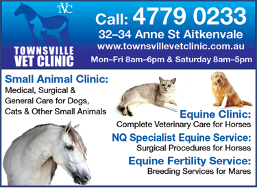 Townsville Vet Clinic - Gold Coast Vets 3