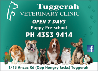 Tuggerah Veterinary Clinic - Gold Coast Vets 1