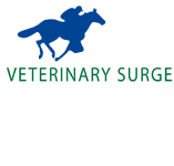 Turner Veronica Veterinary Surgeon - Gold Coast Vets