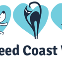 Tweed Coast Vet - Gold Coast Vets