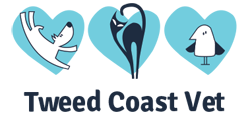 Tweed Coast Vet - Gold Coast Vets 0