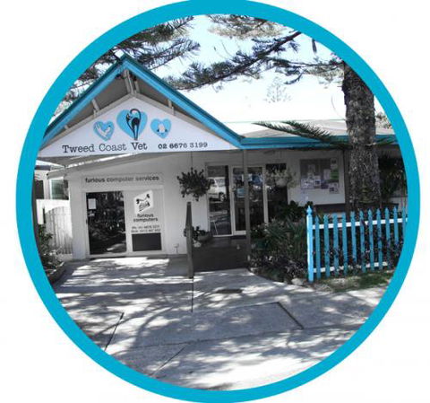 Tweed Coast Vet - Gold Coast Vets 1