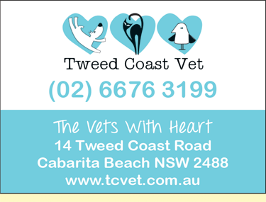 Tweed Coast Vet - Gold Coast Vets 2