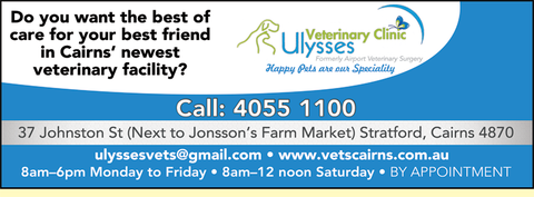 Ulysses Veterinary Clinic Cairns - Gold Coast Vets 4