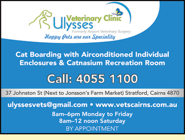 Ulysses Veterinary Clinic Cairns - Gold Coast Vets 5