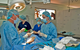 University Avenue Veterinary Hospital - thumb 1