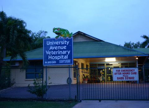 University Avenue Veterinary Hospital - Gold Coast Vets 2
