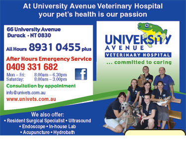 University Avenue Veterinary Hospital - Gold Coast Vets 7