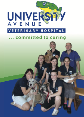 University Avenue Veterinary Hospital - Gold Coast Vets 11