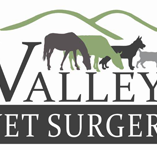 Valley Vet Surgery - Gold Coast Vets