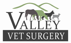 Valley Vet Surgery - Gold Coast Vets 0