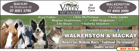 Valley Vet Surgery - Gold Coast Vets 8