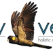 Vitality Vetcare - Gold Coast Vets