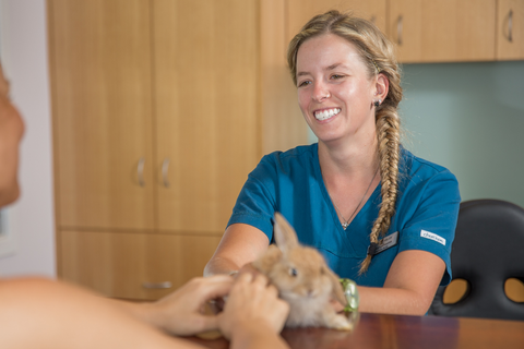 Vitality Vetcare - Gold Coast Vets 2