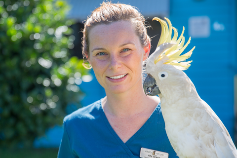 Vitality Vetcare - Gold Coast Vets 3