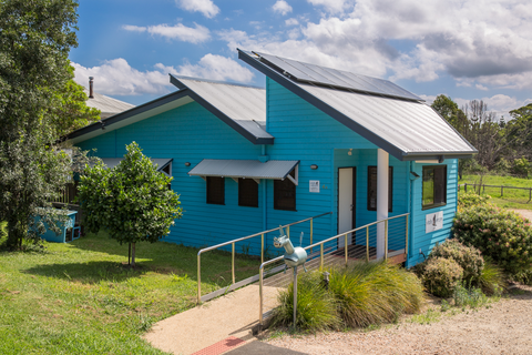 Vitality Vetcare - Gold Coast Vets 4