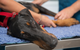Vitality Vetcare - thumb 10
