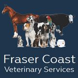 Walker Street Veterinary Surgery - Gold Coast Vets 5