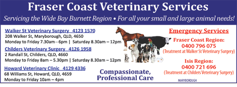 Walker Street Veterinary Surgery - Gold Coast Vets 6