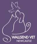 Wallsend NSW Gold Coast Vets