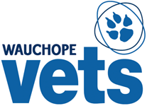 Wauchope Vets - Gold Coast Vets 0
