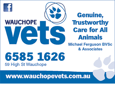 Wauchope Vets - Gold Coast Vets 2