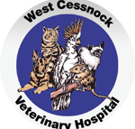 West Cessnock Veterinary Hospital - Gold Coast Vets