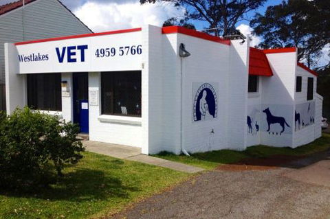 Westlakes Vet Hospital - Gold Coast Vets 1