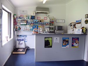 Westlakes Vet Hospital - Gold Coast Vets 2