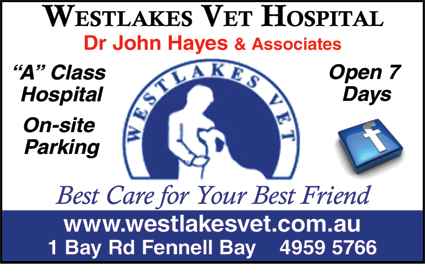Westlakes Vet Hospital - Gold Coast Vets 6