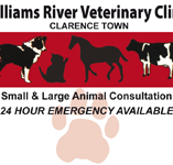 Williams River Veterinary Clinic - Gold Coast Vets