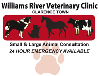 Williams River Veterinary Clinic - Gold Coast Vets 0