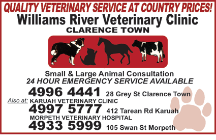 Williams River Veterinary Clinic - Gold Coast Vets 3