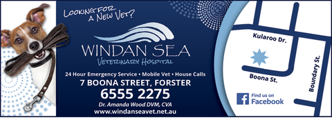 Windan Sea Veterinary Hospital - Gold Coast Vets 1