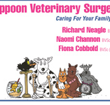 Yeppoon Veterinary Surgery - Gold Coast Vets