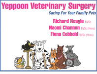 Yeppoon Veterinary Surgery - Gold Coast Vets 0