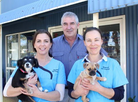 Yeppoon Veterinary Surgery - Gold Coast Vets 2