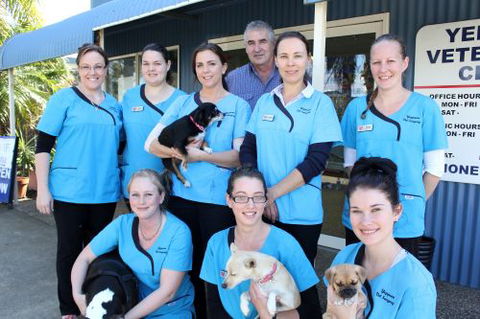 Yeppoon Veterinary Surgery - Gold Coast Vets 4