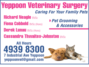 Yeppoon Veterinary Surgery - Gold Coast Vets 6