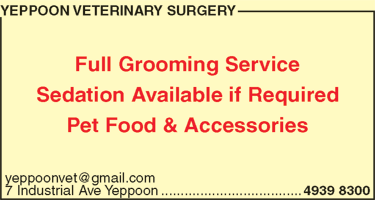 Yeppoon Veterinary Surgery - Gold Coast Vets 7