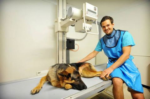 Pacific Vetcare - Gold Coast Vets 0