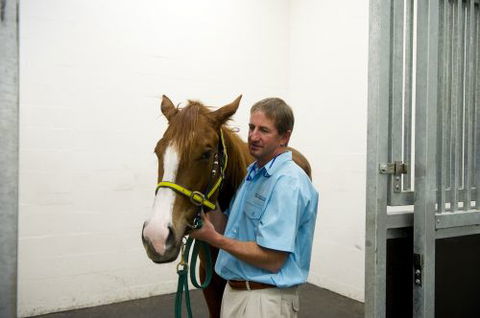 Pacific Vetcare - Gold Coast Vets 2