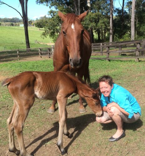 Pacific Vetcare - Gold Coast Vets 5