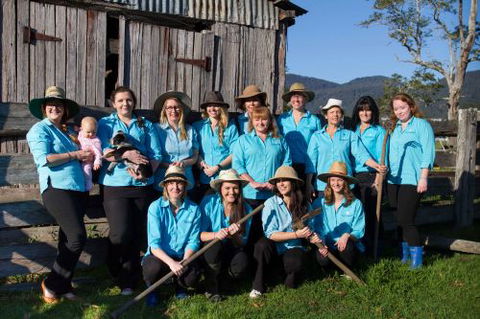 Pacific Vetcare - Gold Coast Vets 11