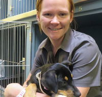 Grafton Veterinary Clinic - Gold Coast Vets