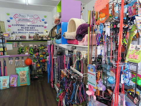 Doggy Days - Gold Coast Vets 0