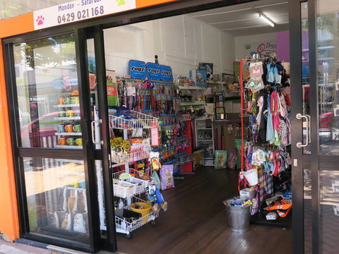 Doggy Days - Gold Coast Vets 1