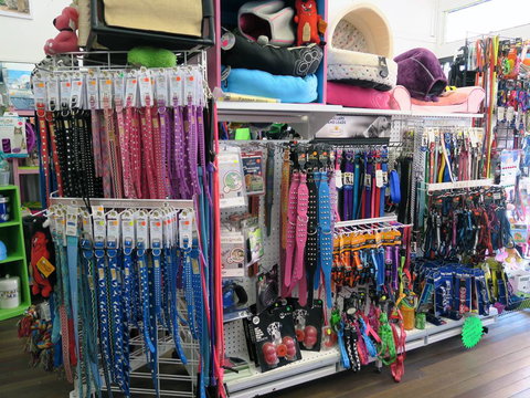 Doggy Days - Gold Coast Vets 2