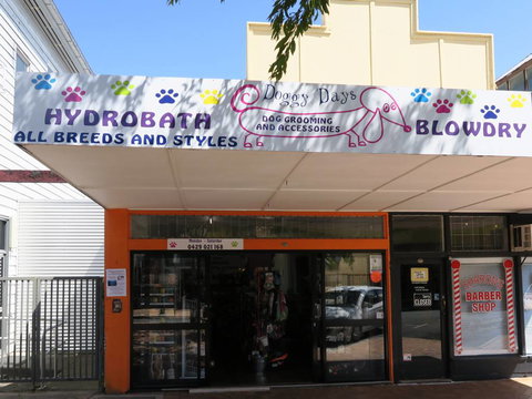 Doggy Days - Gold Coast Vets 3