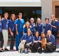 Berkhout Stacey Dr - Gold Coast Vets